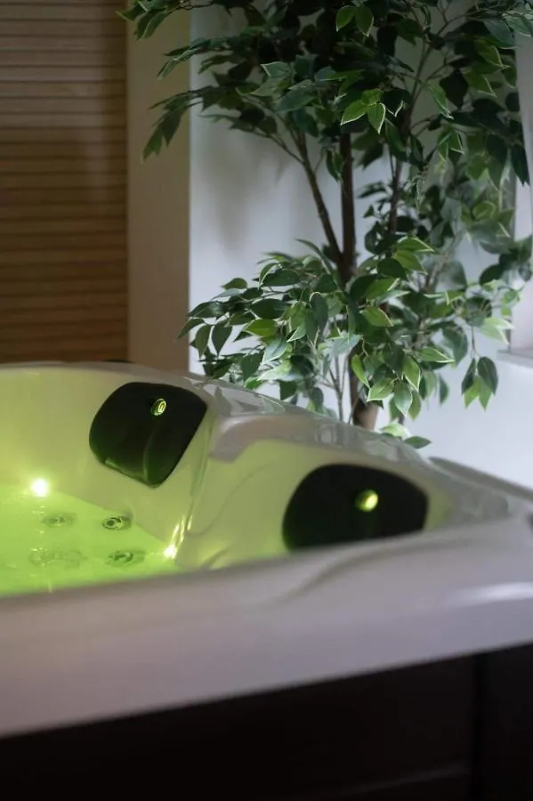 Spa Palawan Prive Avec Jacuzzi Et Sauna Liege Hotel Liefdeshotel